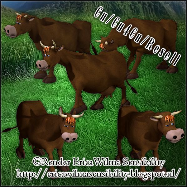 EW Cows